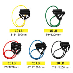 5-Level Resistance Bands with Handles – Full-Body Workout Power Set